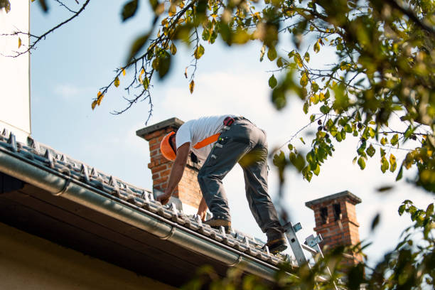 Quick and Trustworthy Emergency Roof Repair Services in Van Meter, IA