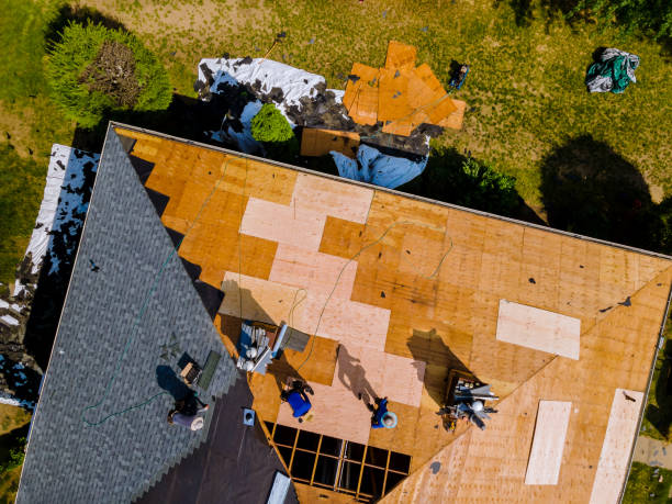 Best Flat Roof Repair Services  in Van Meter, IA