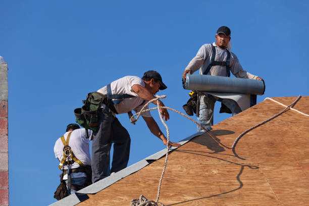 Best Sealant for Roof  in Van Meter, IA