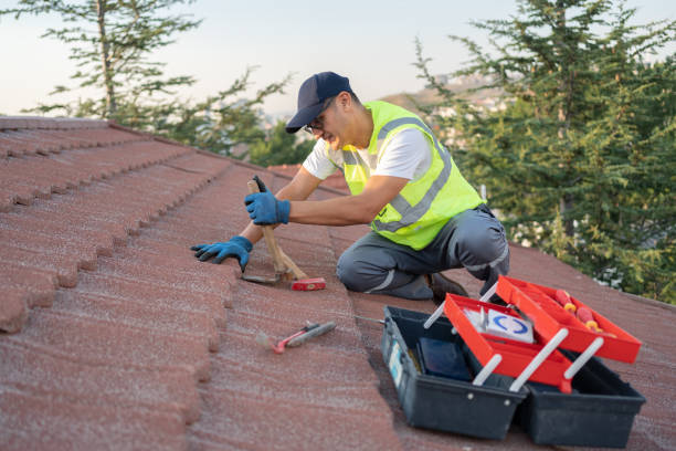 Best Metal Roofing Contractor  in Van Meter, IA