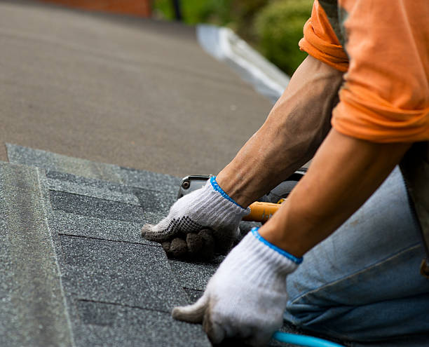 Trusted Van Meter, IA Roofing Contractor Experts
